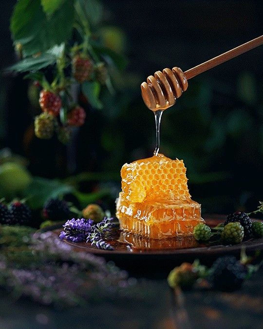 Harvest Honey- Wild Flower Honey